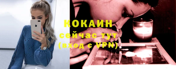 прущий лед Алексин