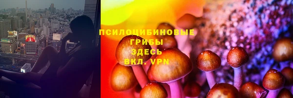 трава Алзамай