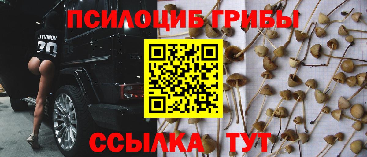 Галлюциногенные грибы мицелий Набережные Челны