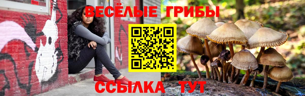 Псилоцибиновые грибы мухоморы  Вход с VPN  Псилоцибиновые грибы GOLDEN TEACHER  Набережные Челны 